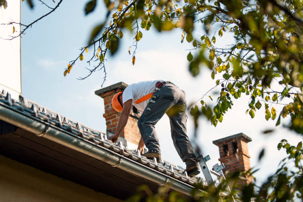 Roof Waterproofing Services in Mercer Island, WA