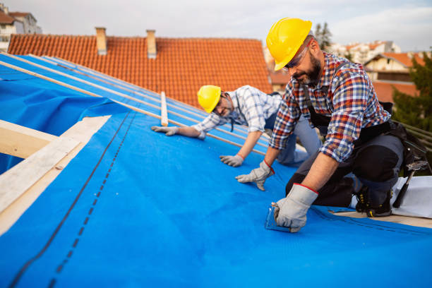 Best Roof Gutter Cleaning  in Mercer Island, WA